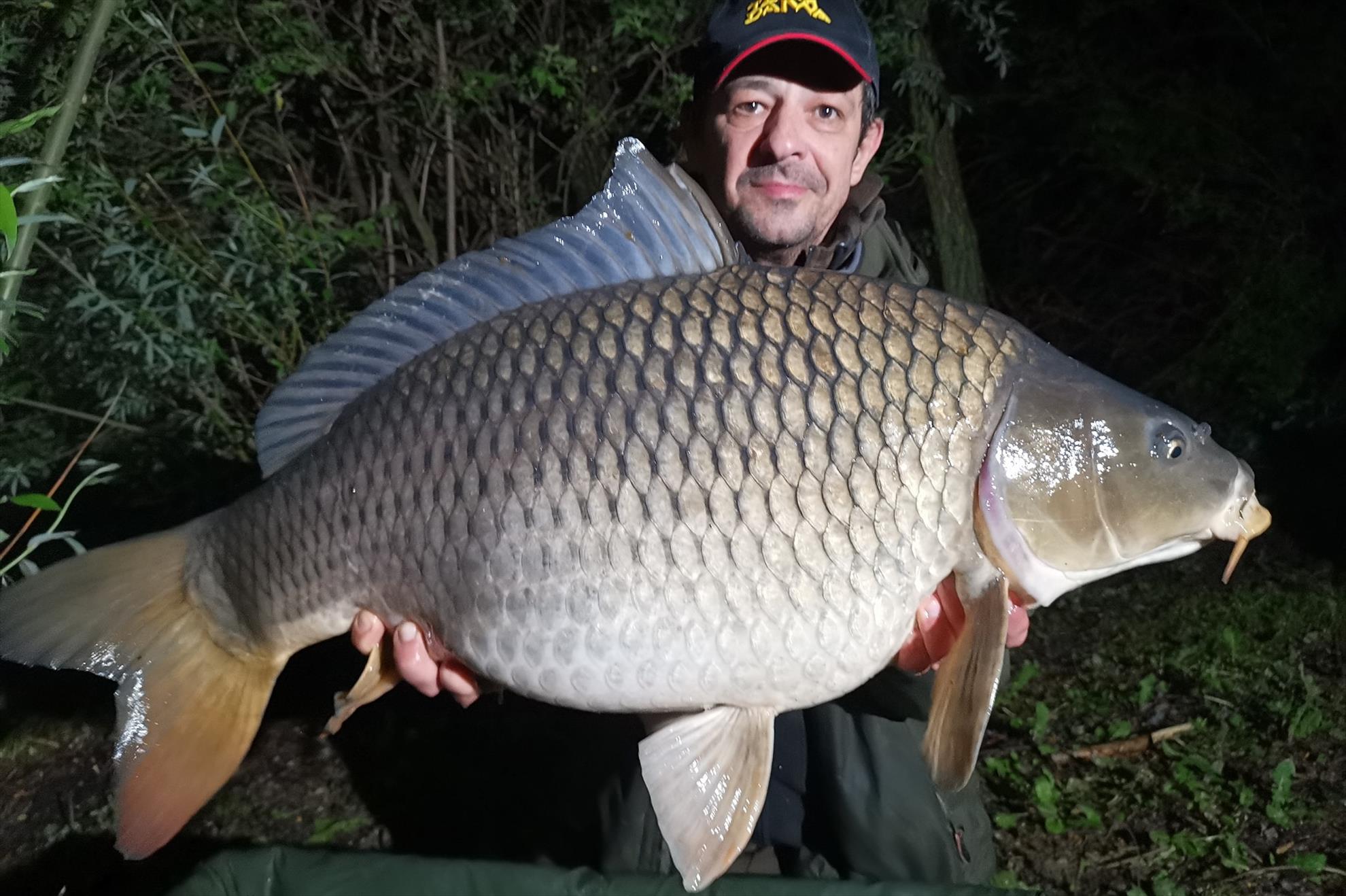 Cum pescuiesc la plauri?